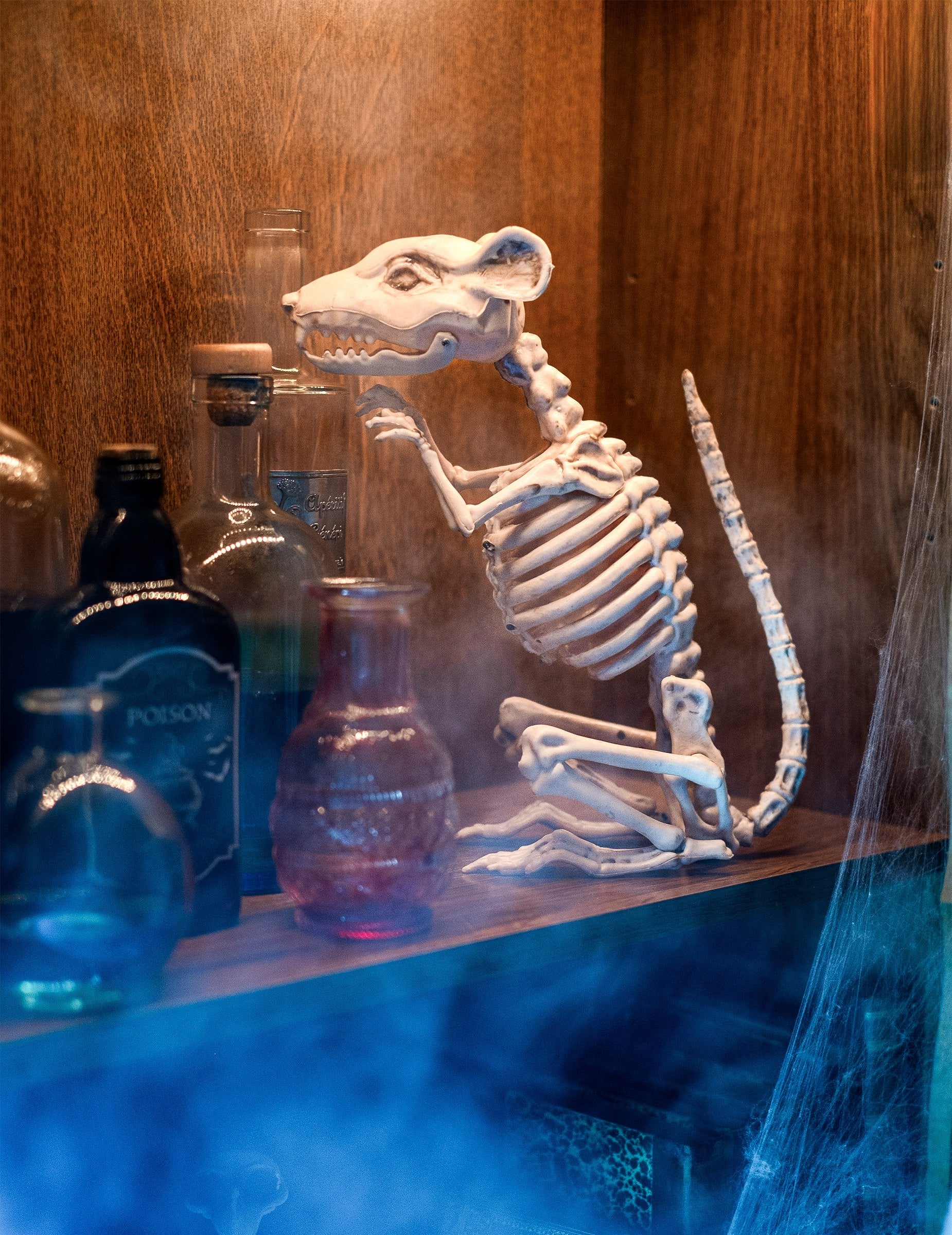 Mise en situation de la décoration rat squelette pour Halloween