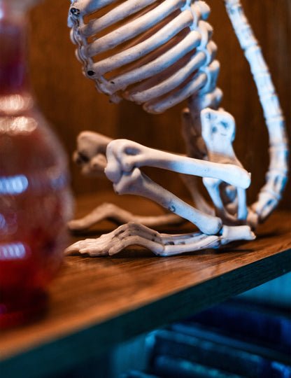 Gros plan sur la cage thoracique et les pattes de la décoration rat squelette Halloween