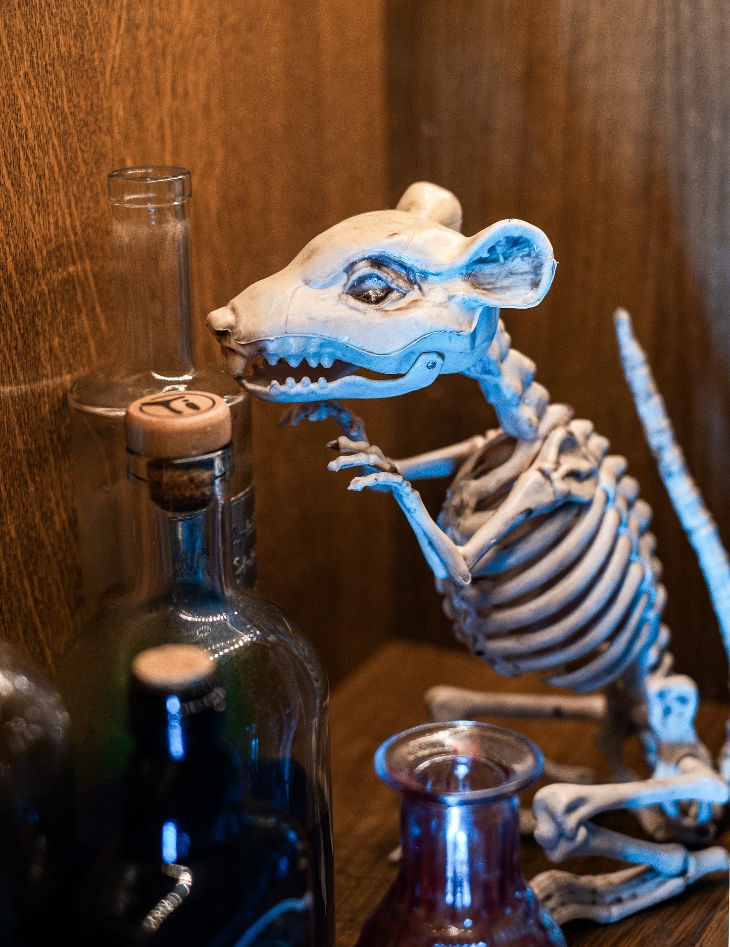 Gros plan sur la tête de la décoration rat squelette Halloween