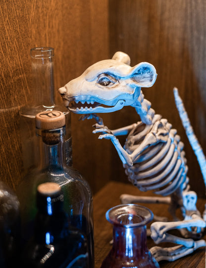 Gros plan sur la tête de la décoration rat squelette Halloween
