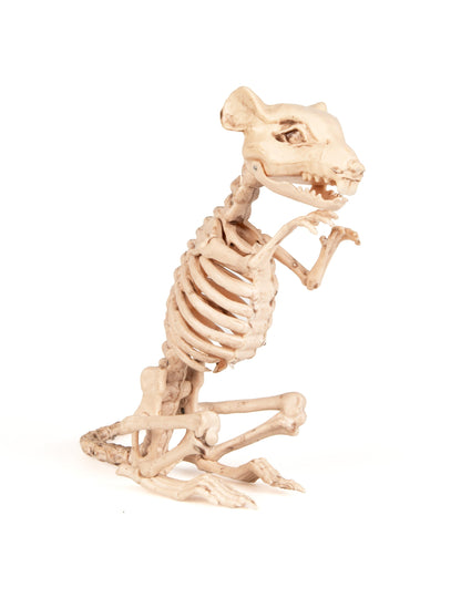 Ukras kostura za Halloween