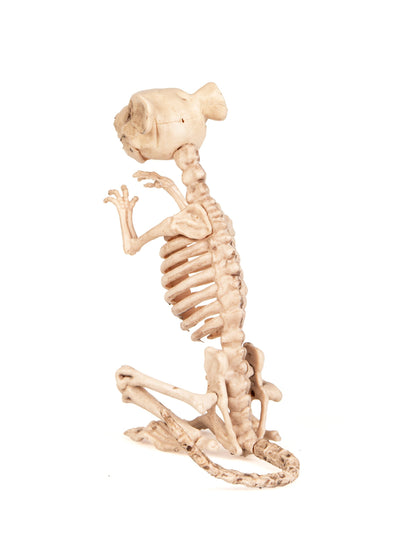 Vue de dos de la décoration rat squelette Halloween