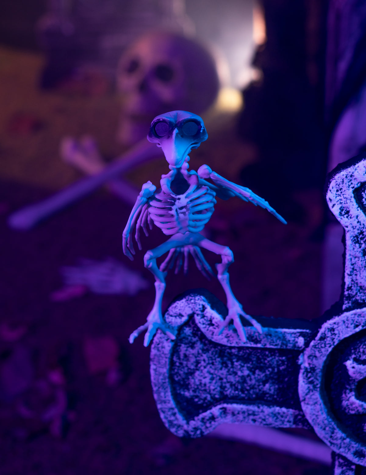 Corbeau Skeleton Dekoracija 19,5 cm Noć vještica