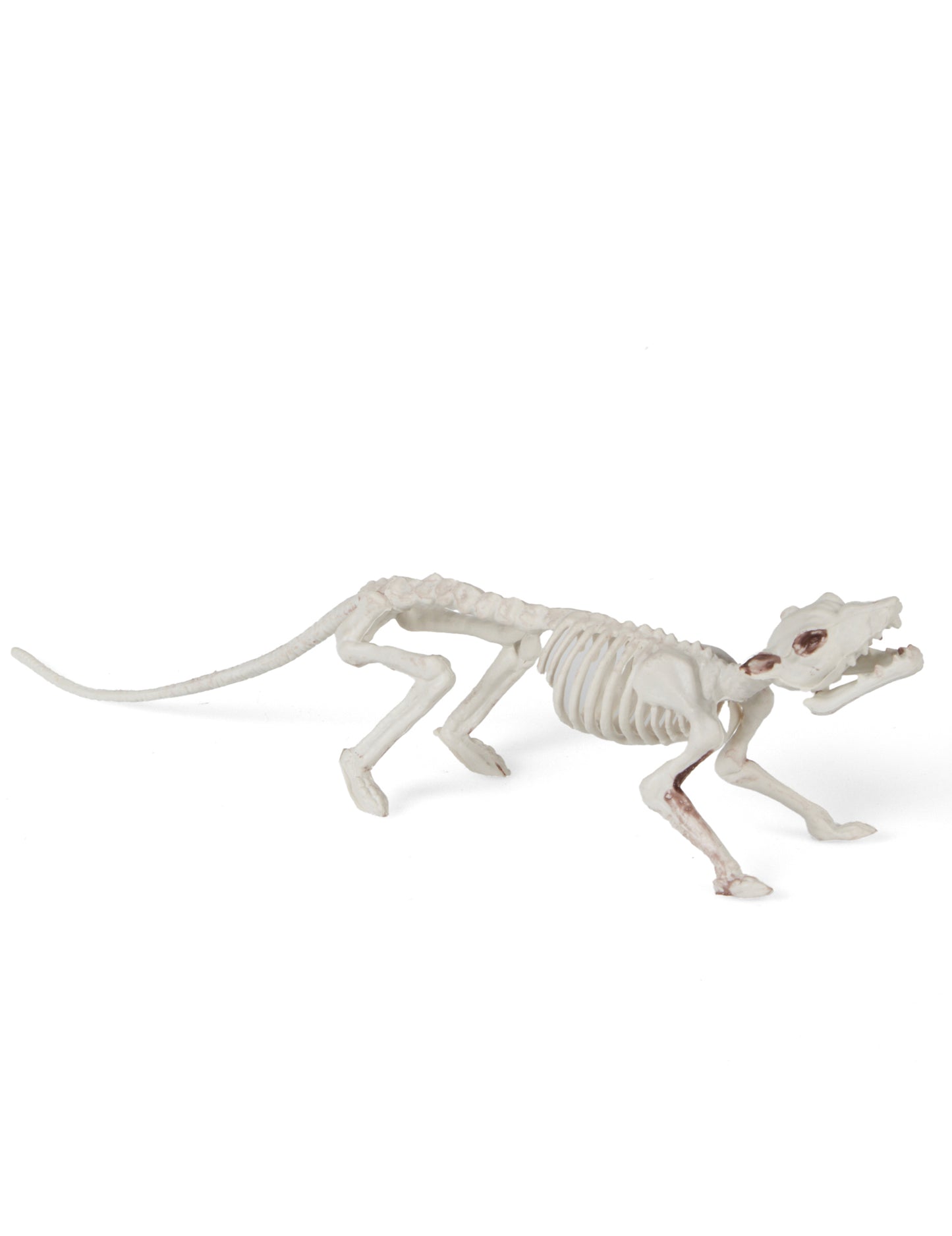 Dekoracija kostura štakora 16 x 23 cm Noć vještica