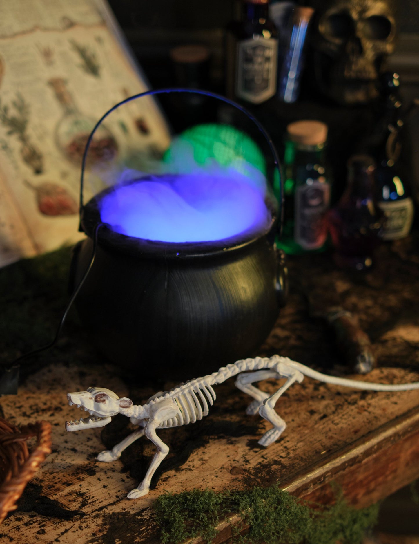 Dekoracija kostura štakora 16 x 23 cm Noć vještica