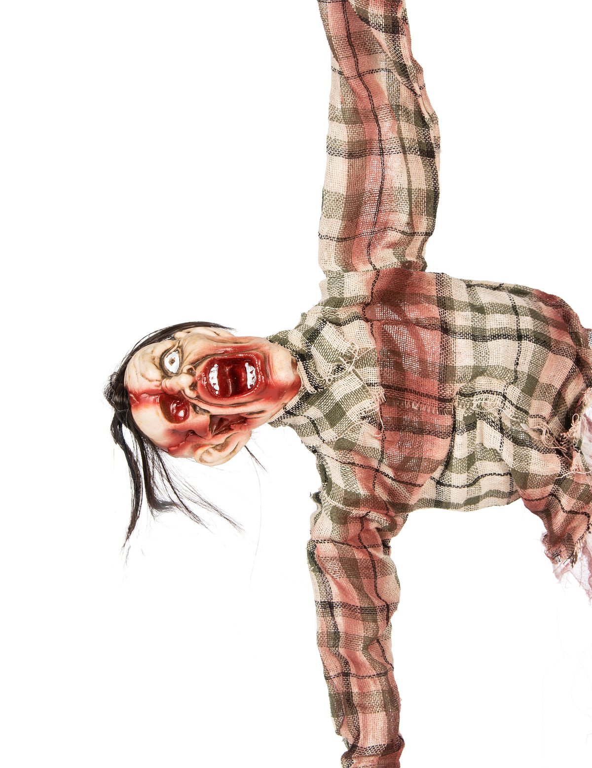 Vue de profil de la décoration torse de zombie pour Halloween