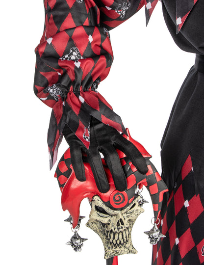 Luksuzni muški arlequin prerušen