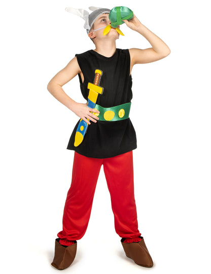 Asterix kostim za djecu - Asterix i Obelix