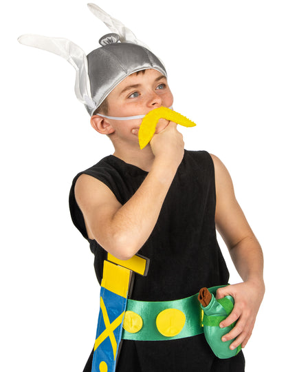 Asterix kostim za djecu - Asterix i Obelix