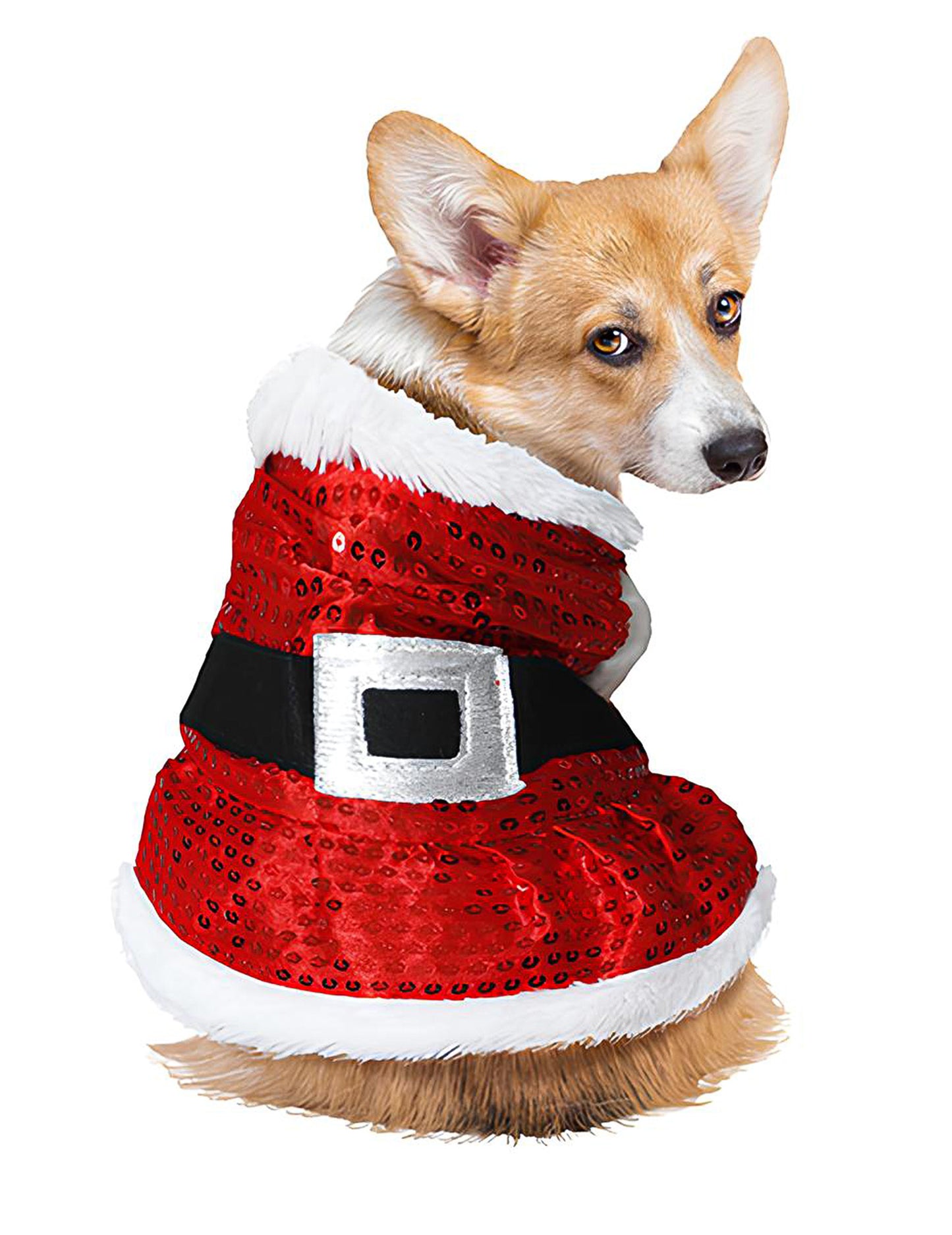Božićni kostim psa sa šljokicama
