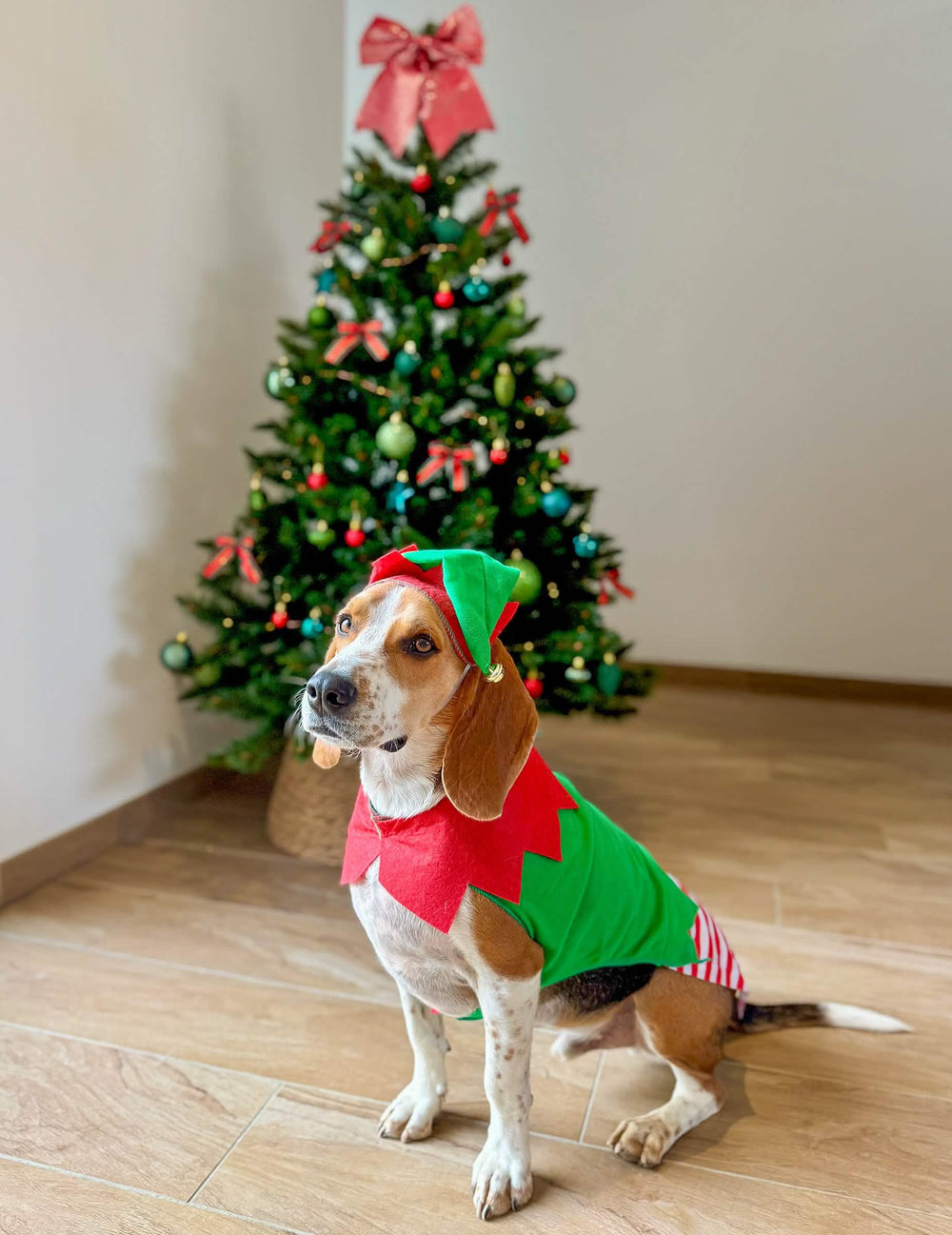 Vue de profil du déguisement elfe de Noël pour chien