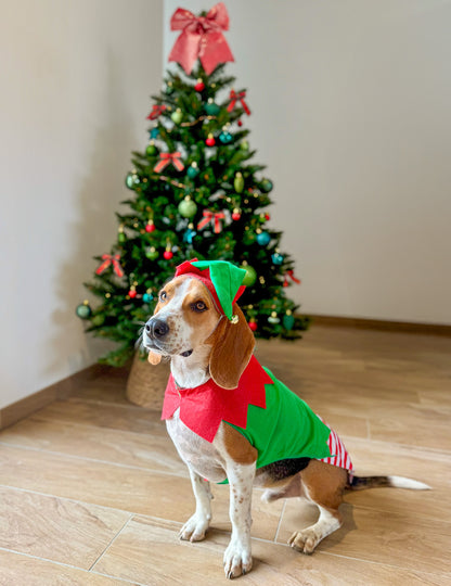 Kostim božićnog vilenjaka za pse