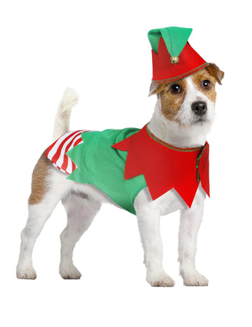 Kostim božićnog vilenjaka za pse