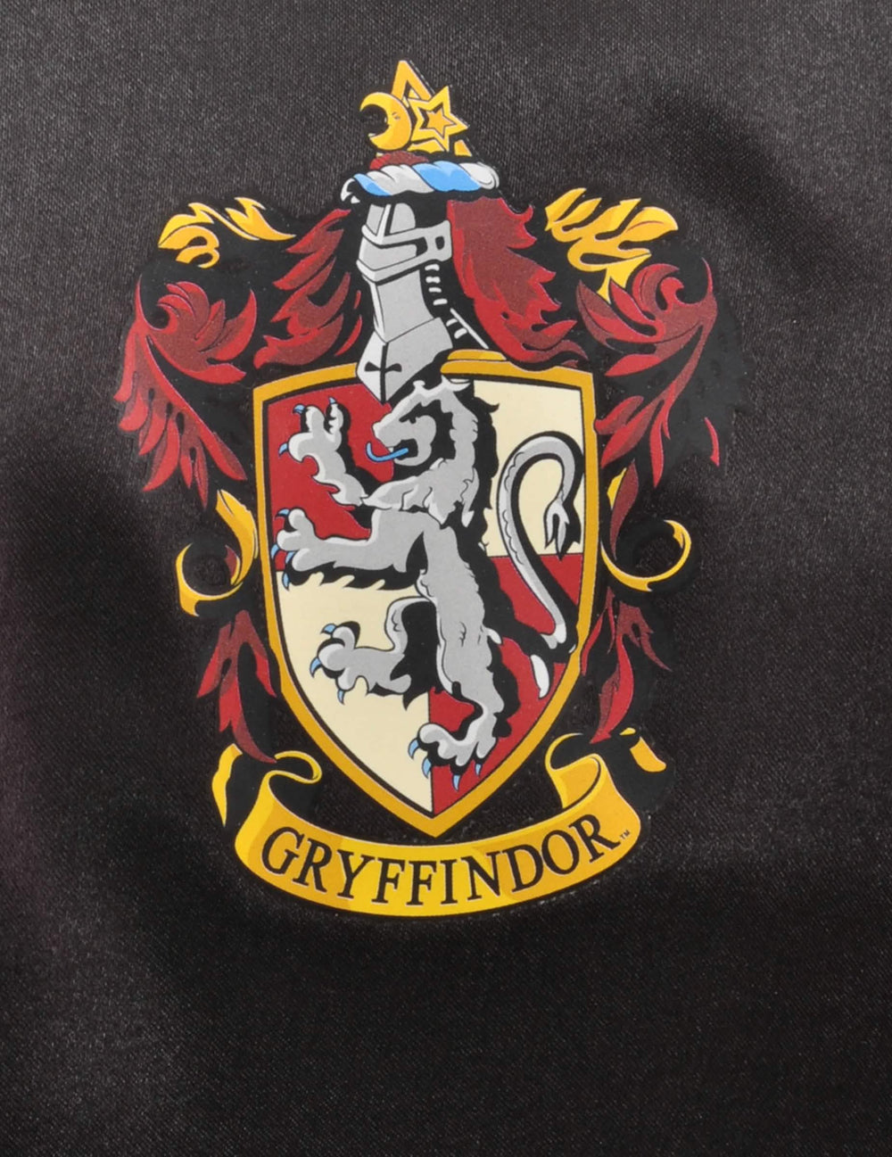 Detalj grba Gryffindora za kostim i dodaci Hermione za dijete
