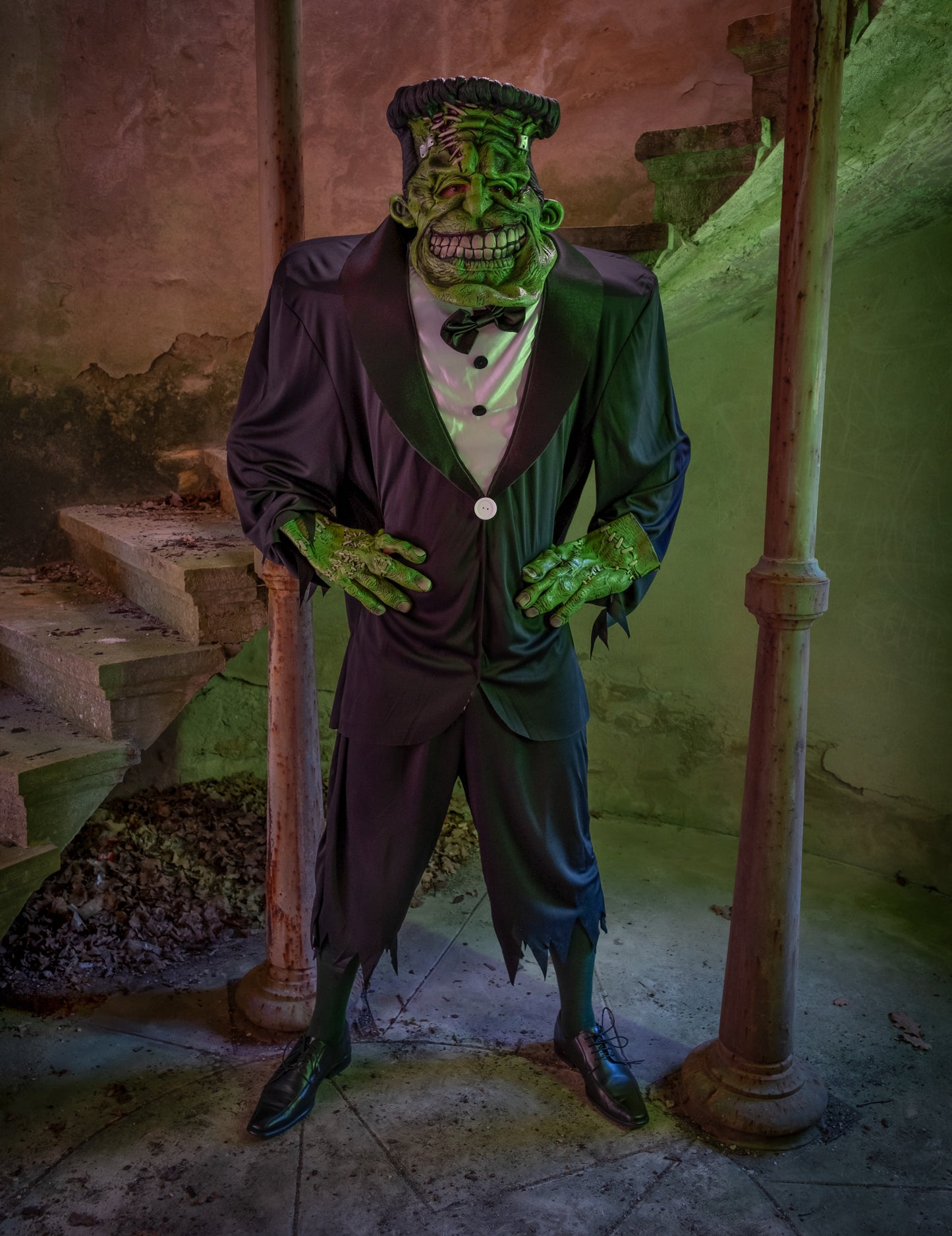 Frankenstein prerušen za odrasle