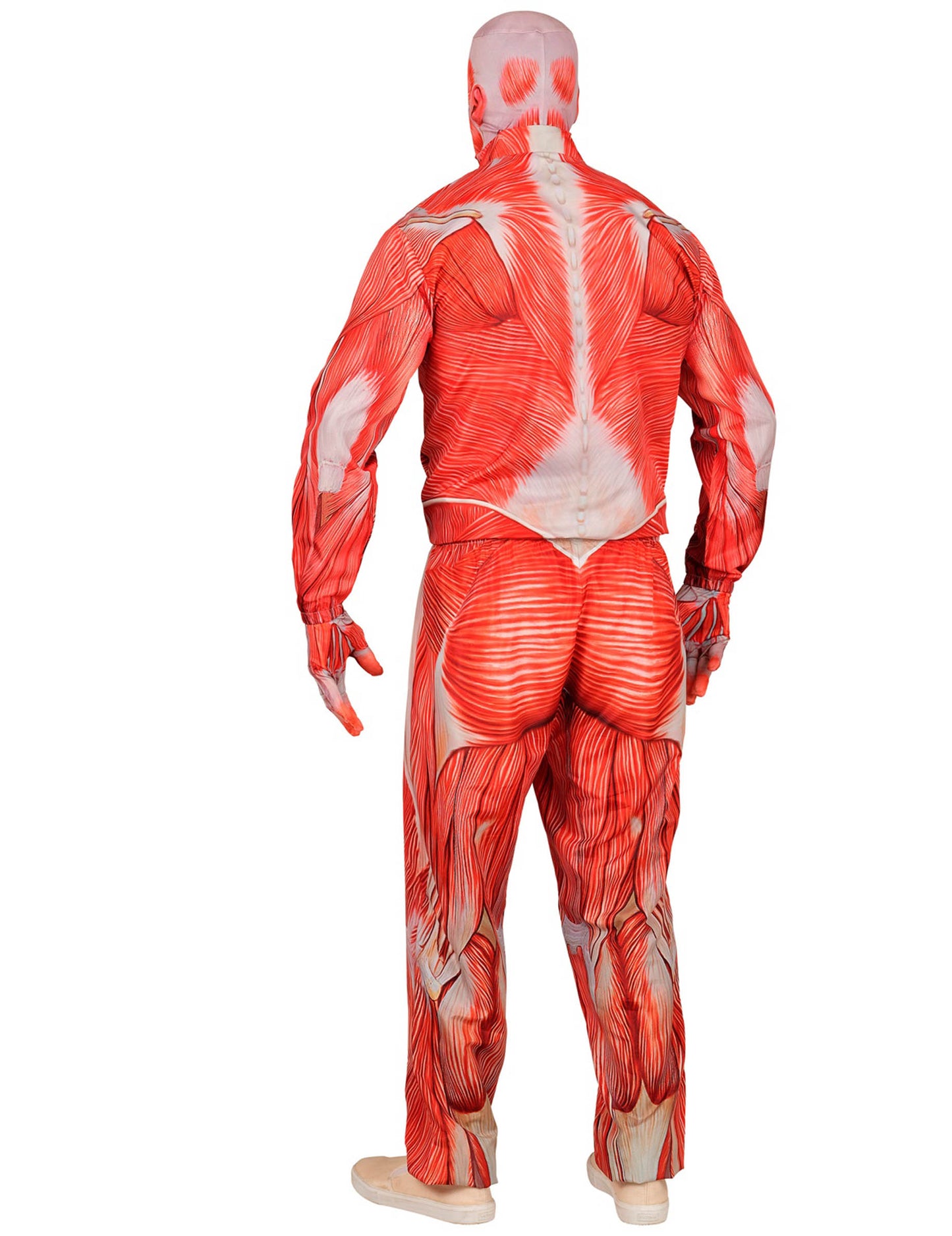 Anatomski kostim za odrasle za cijelo tijelo