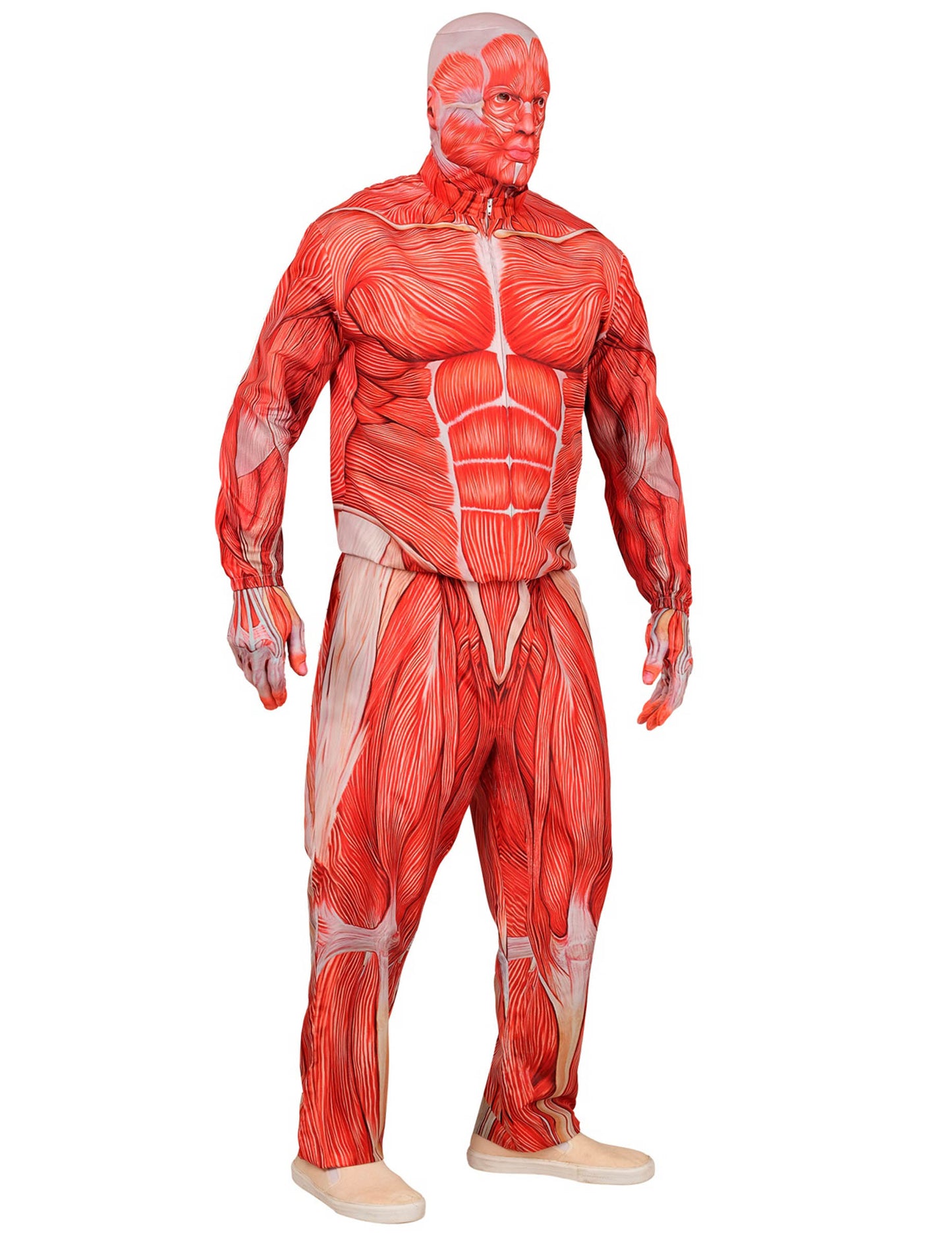 Anatomski kostim za odrasle za cijelo tijelo