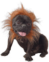 Déguisement lion pour chien marron avec crinière