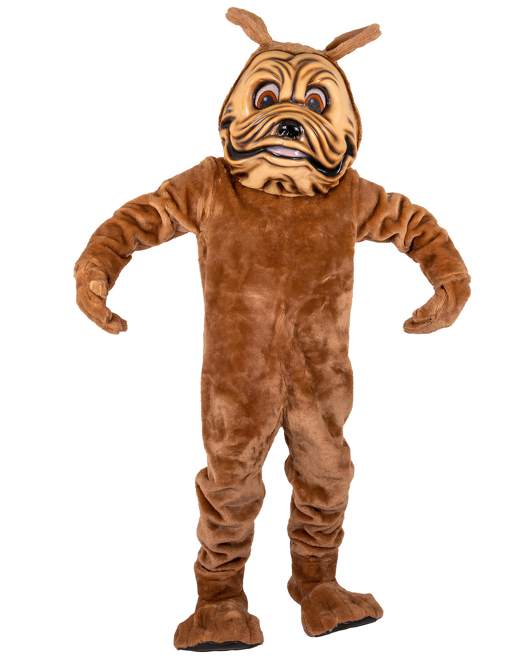 Vue d'ensemble de face du déguisement mascotte chien