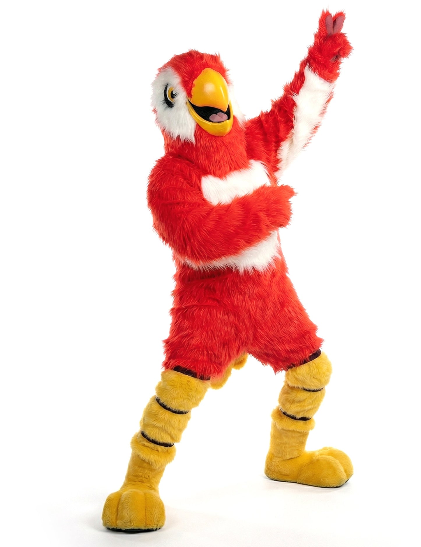 Kostim maskote crvene papige za odrasle