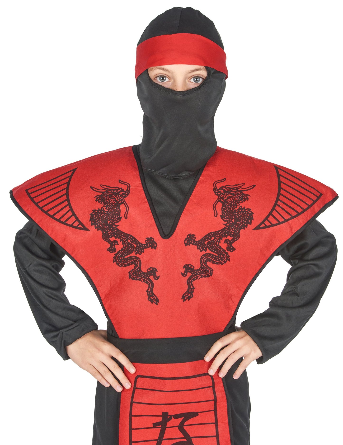Ninja Dragon Boy Dragon kostim