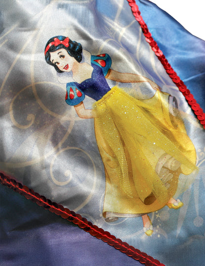 Princeza balerina princeza snježna balera djevojka