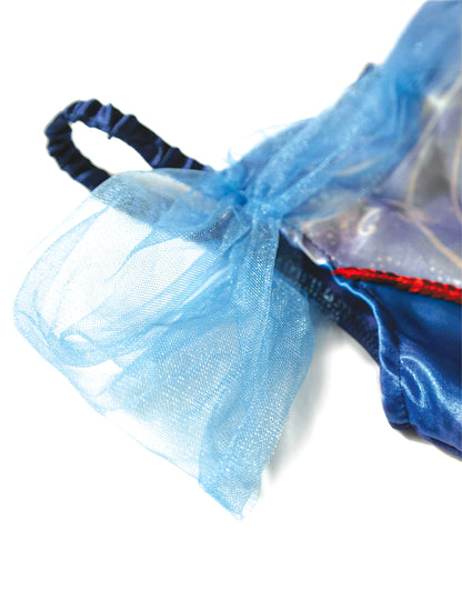 Princeza balerina princeza snježna balera djevojka