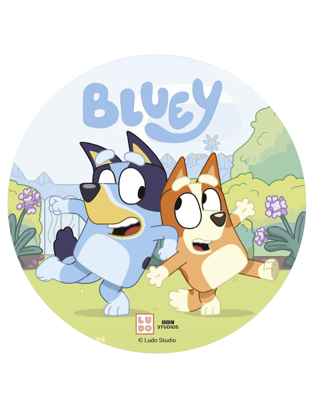 Jestiva pokrivka za tortu Bluey™ 20 cm