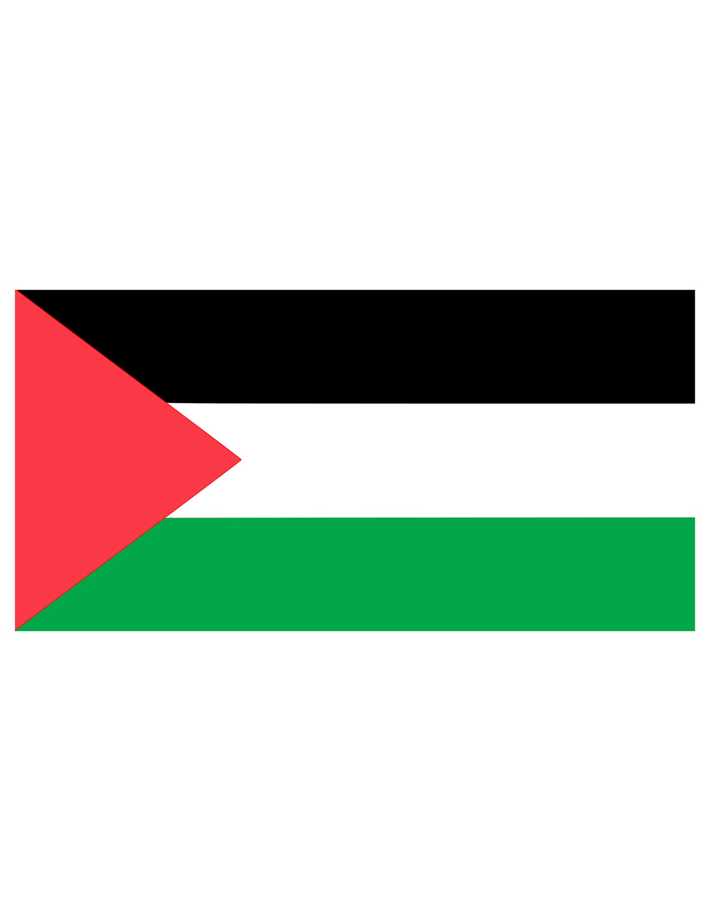 Tkanina zastava Palestine 150 x 90 cm 