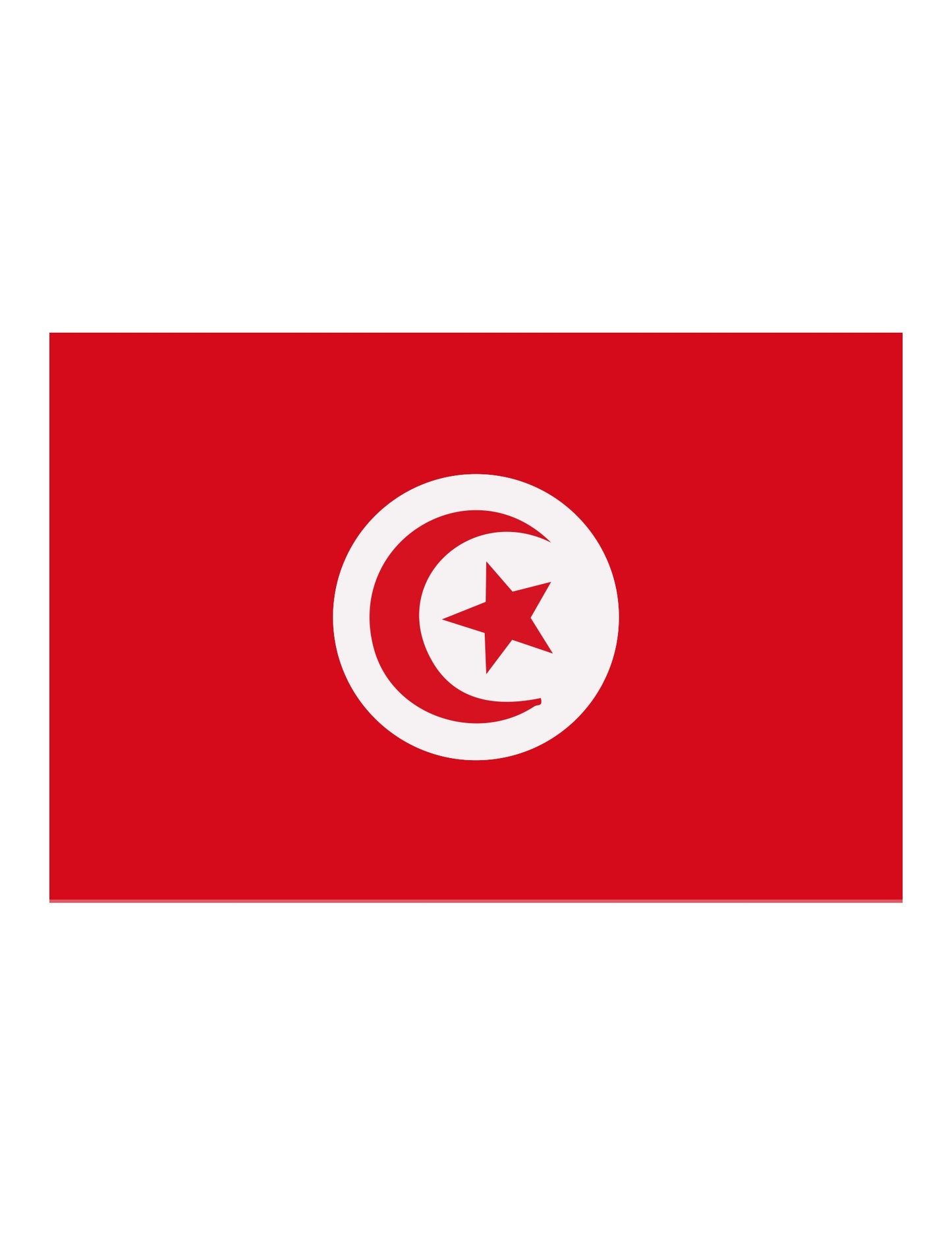 Türkiye zastava za podršku 90 x 150 cm