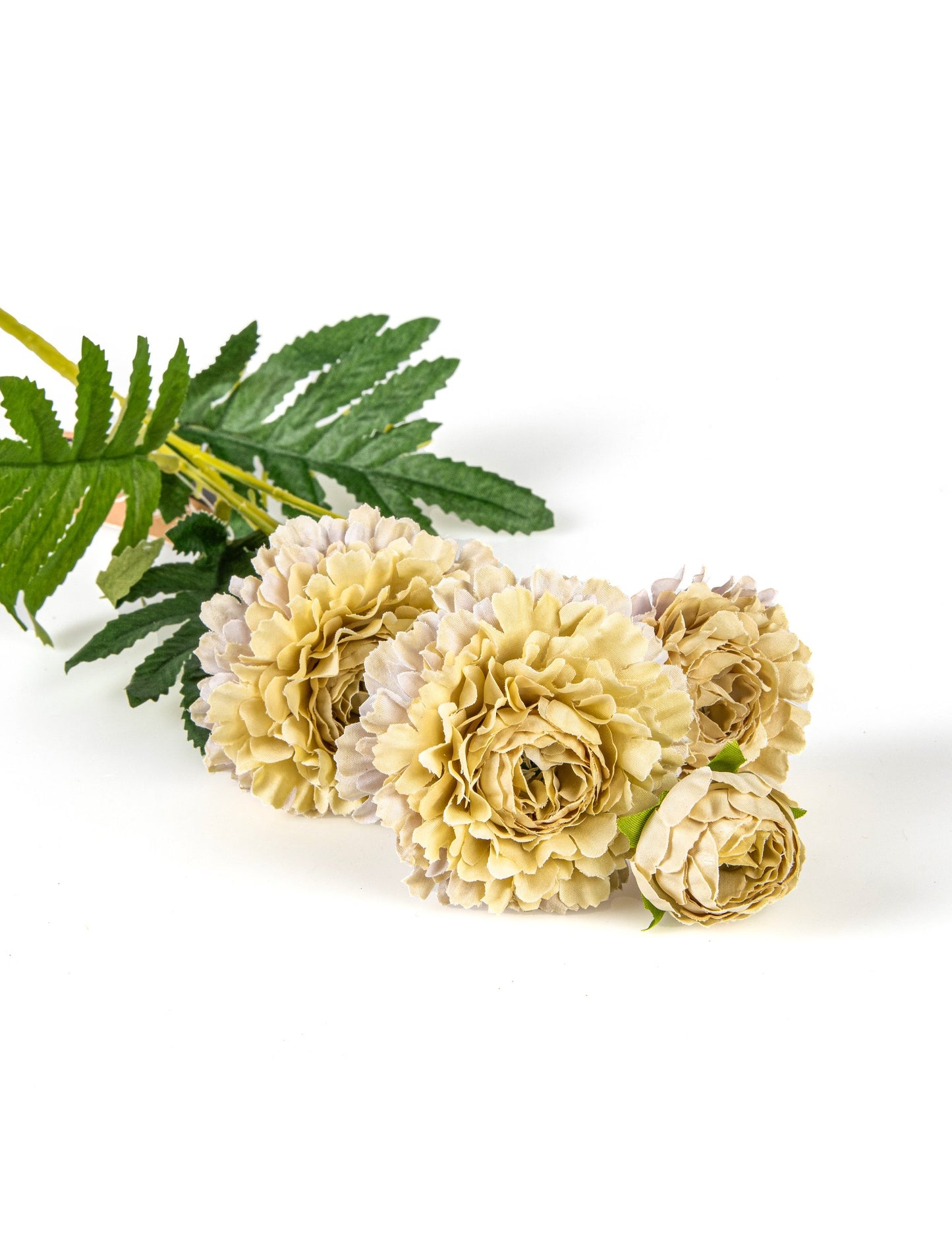 Umjetni bež cvjetovi cinije na stabljici 61 cm za buket