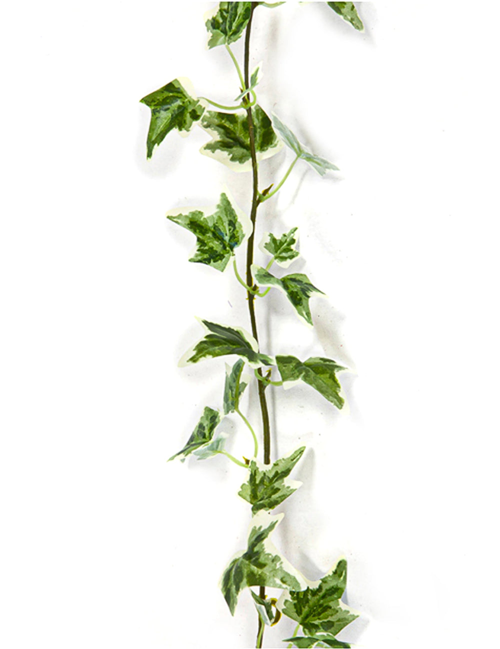 Guirlande de lierre artificielle pour décoration panaché vert et blanc