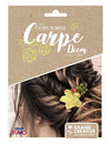 Kit bijoux porte-bonheur broches à cheveux succulentes en fimo pour femme vert et terracotta