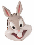 Kostimi Looney Tunes