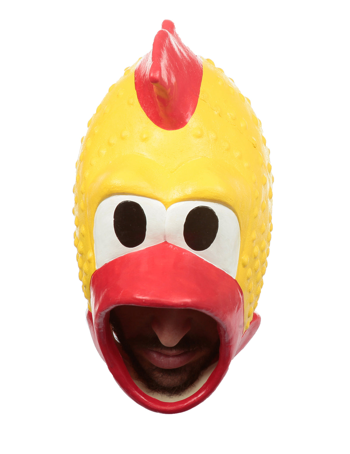 Vue de face du masque de poulet