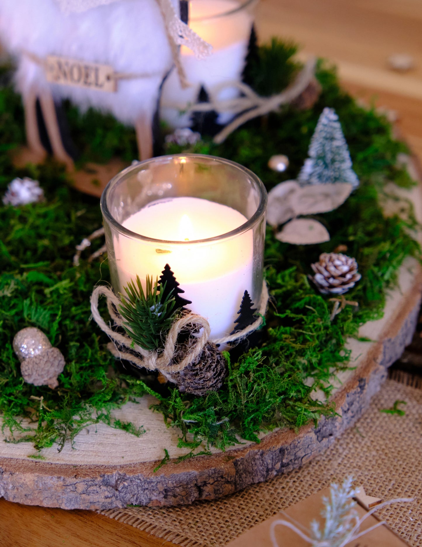 Mousse végétale séchée 50 gr pour décoration naturelle