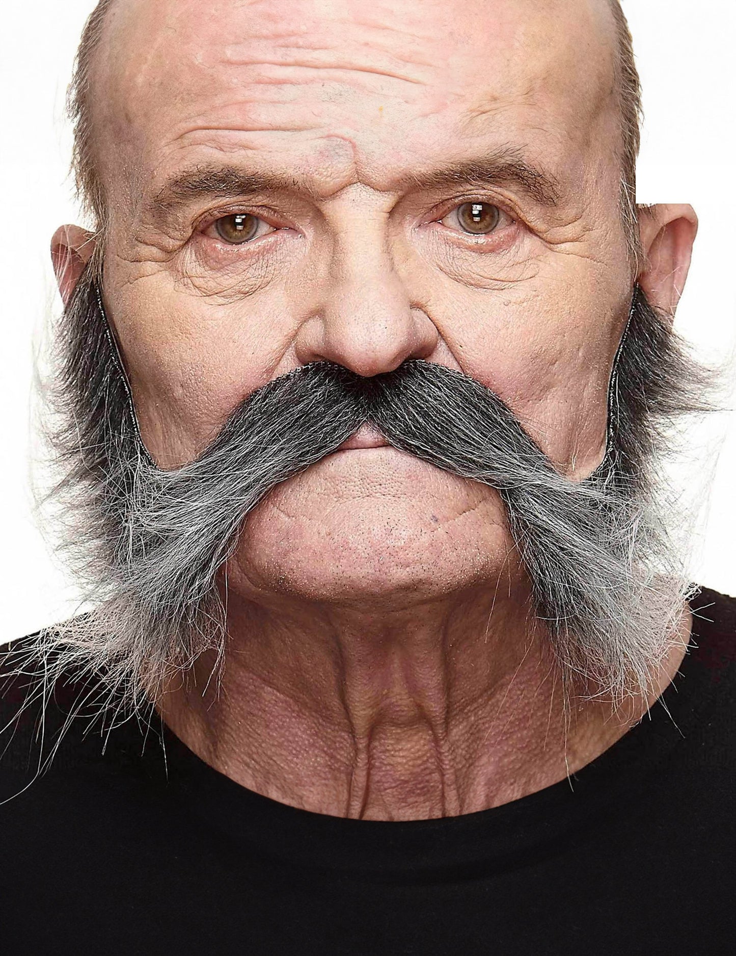 Brkovi s sivim muškim nogama