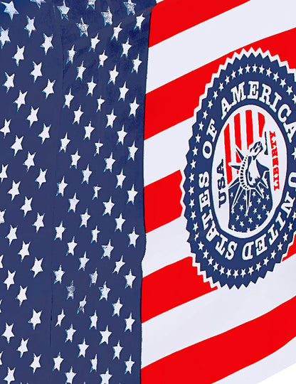 Gros plan sur le logo et les motifs de la nappe USA pour fête