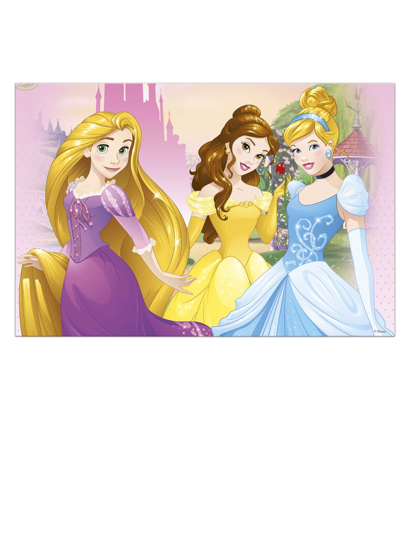 Plastični stolnjak Disney Princess™ 120x180 cm 