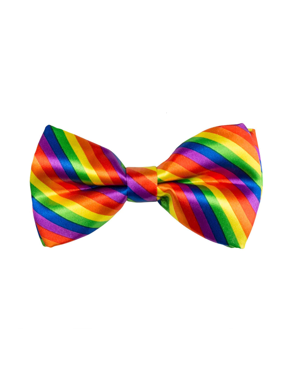 Vue de face du noeud papillon multicolore