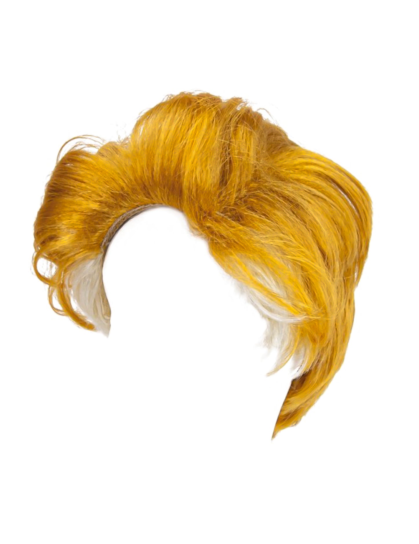 Perika za odrasle američkog predsjednika