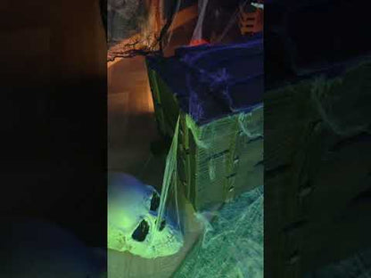 Svjetlo i zvučna škrinja sa skrivenim stvorenjem 46 x 30 cm