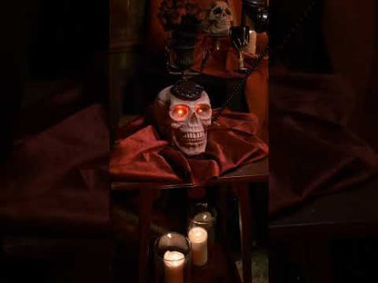 Pojedinačna glava lubanje 22 x 25 cm