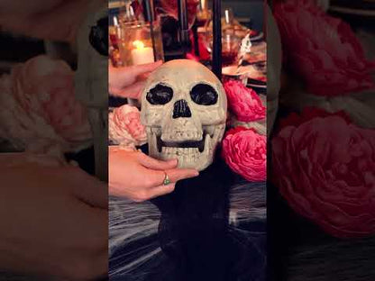 Dekoracija lubanje 24 x 18 cm Noć vještica