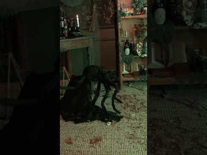 Sauty animirani pauk 50 cm