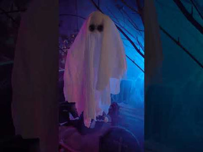 Trendi duh za objesiti animirani i glazbeni 48 cm