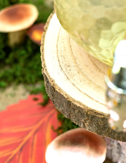 Prirodni drveni trupac 28 do 33 cm za središnji ukras