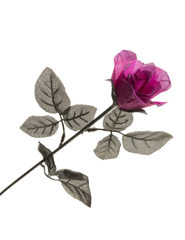 Purple Rose 65 cm
