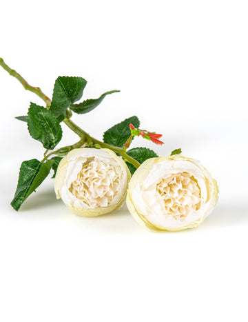 Umjetne bijele ruže na stabljikama 46 cm u setu od 2