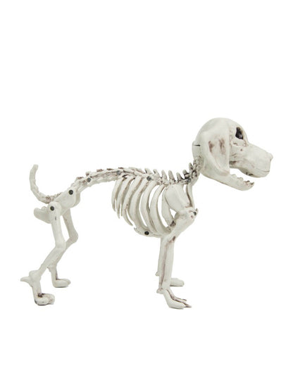 Pseći kostur 26 cm